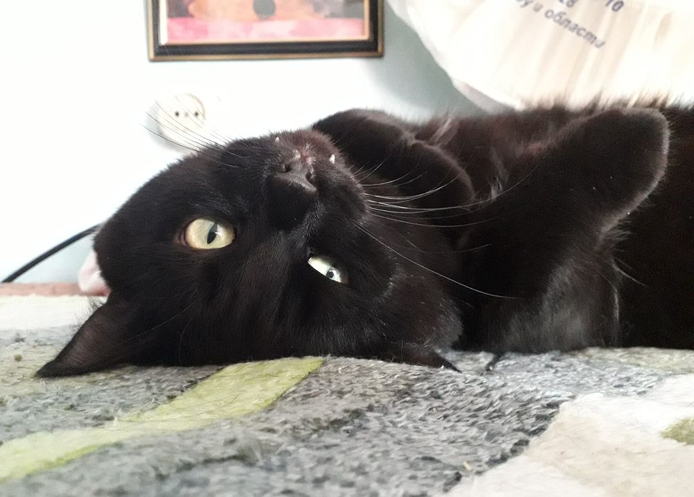 Photograph by Бутовец Алёна