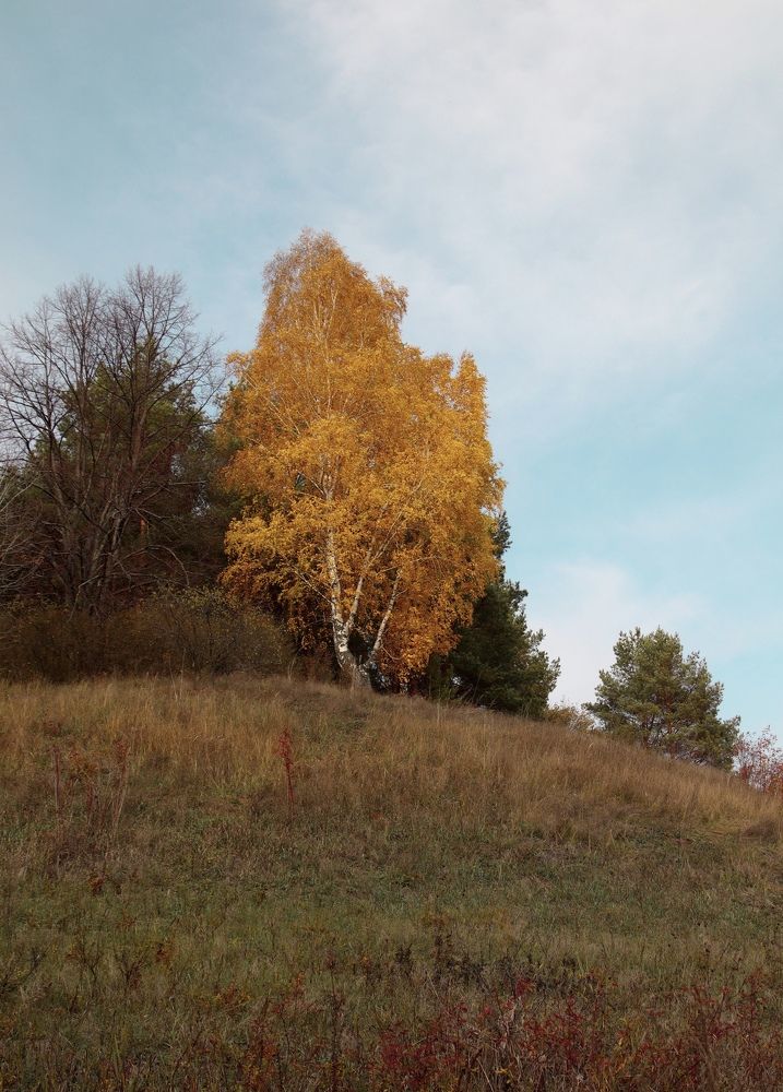 Photograph by Гуляева Светлана