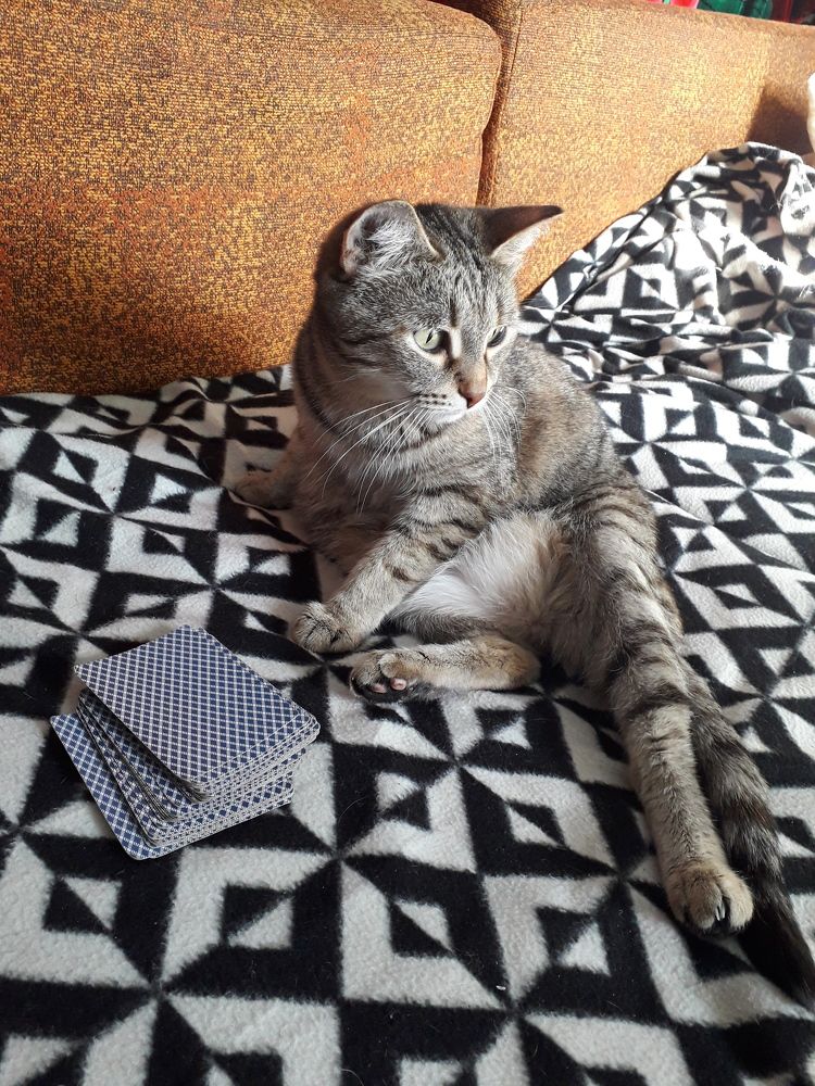 Photograph by Бутовец Алёна