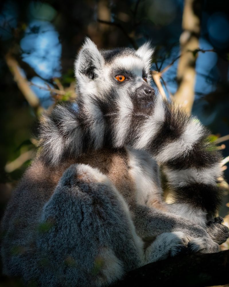 Photograph by João Paulo de Oliveira Freitas