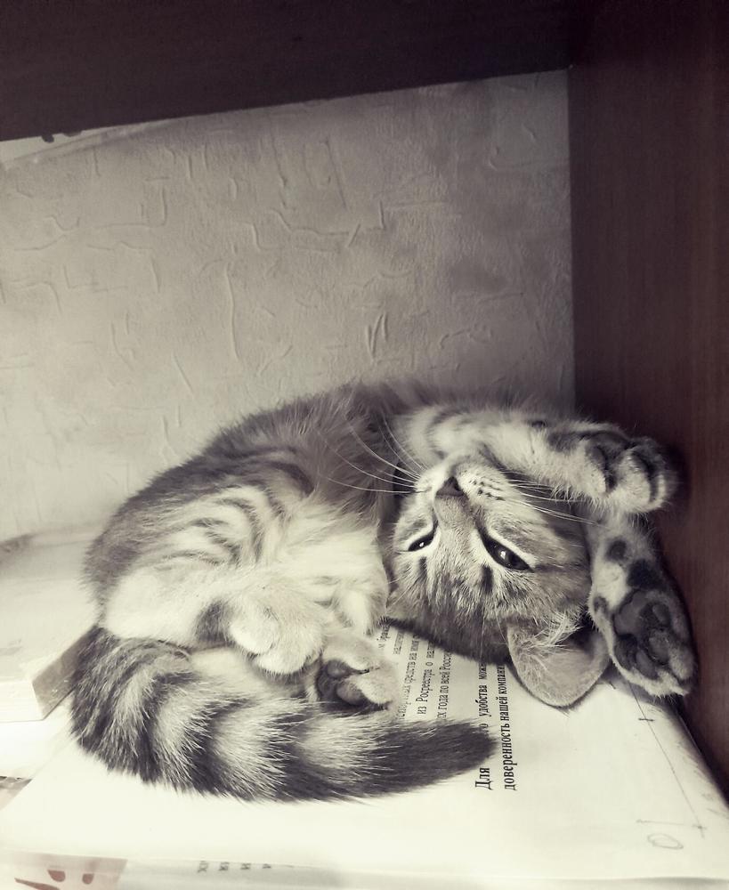 Photograph by Ксения