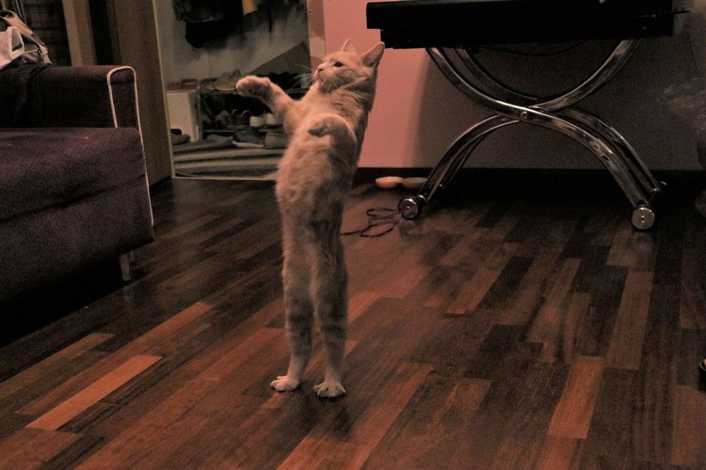 Photograph by Дарья Дрыночкина