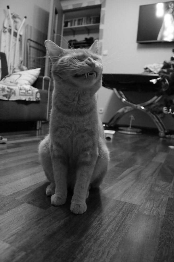 Photograph by Дарья Дрыночкина