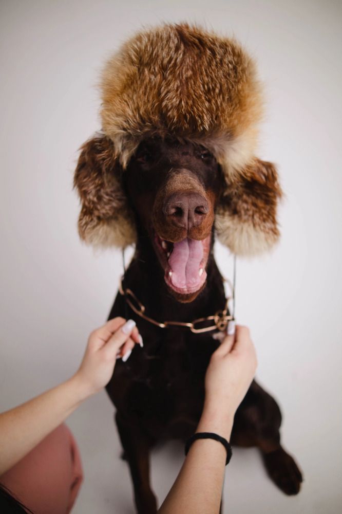 Photograph by Екатерина Степоненкова