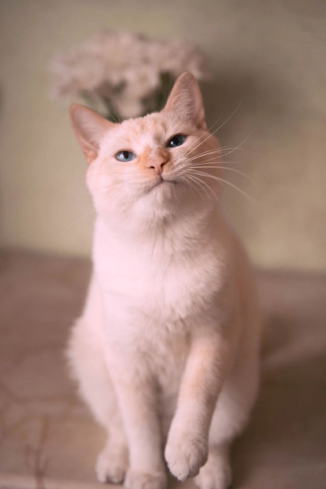 Photograph by Екатерина Степоненкова