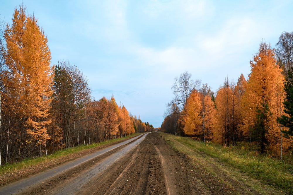 Photograph by Андрей Колеватов