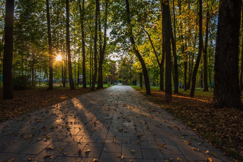 Photograph by Виктор Евстратов