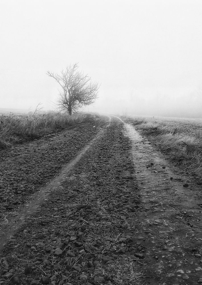 Photograph by Наталья Исиченко