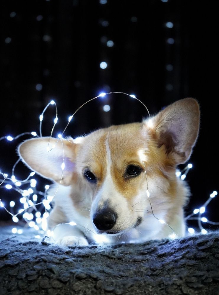 Photograph by Светлана Смирнова