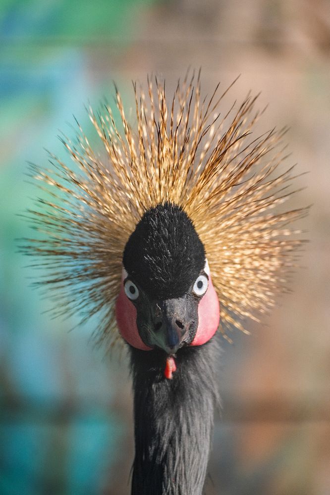 Photograph by Алексей Большаков