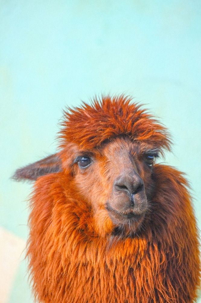 Photograph by Алексей Большаков