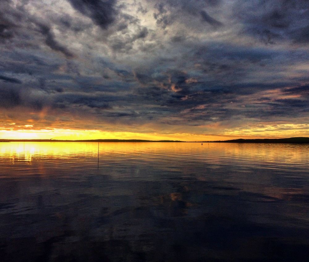 Фотография автора Анна Могилева
