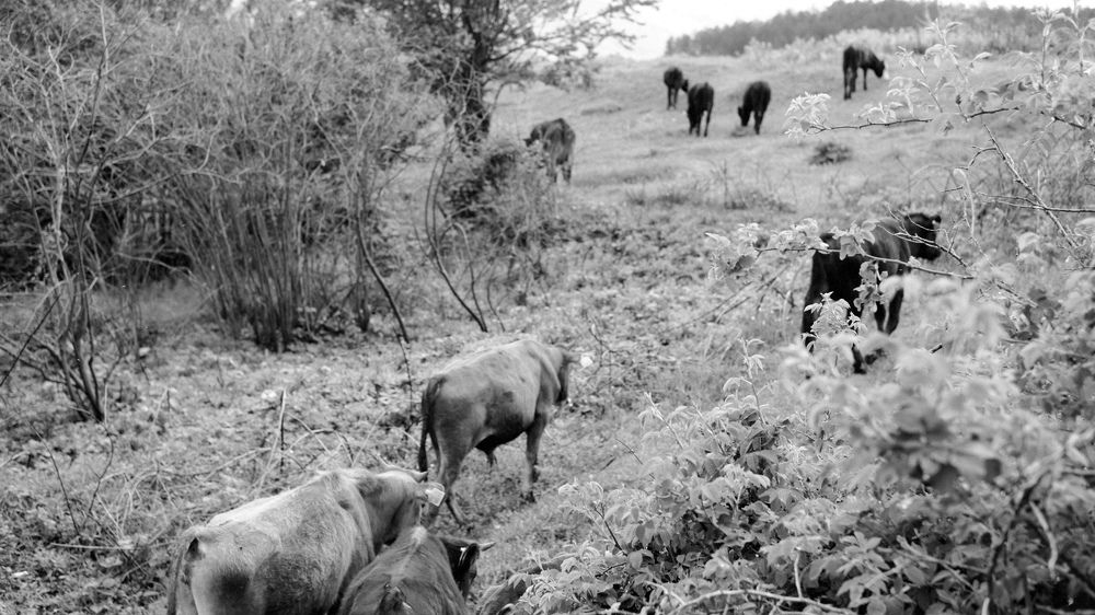 Photograph by Михаил