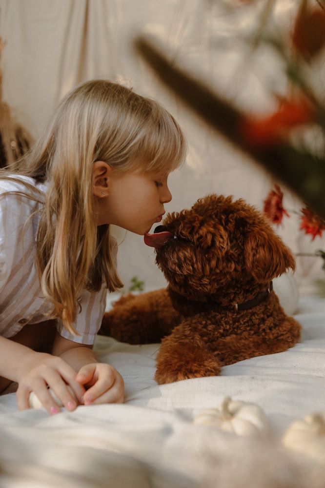 Photograph by Полина Вилкова