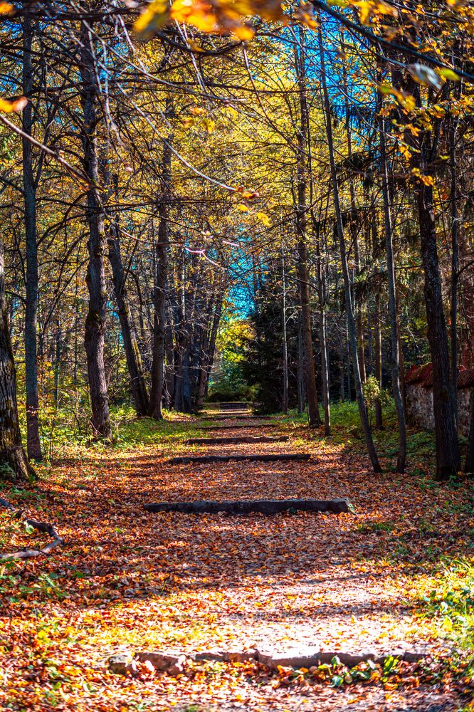 Photograph by Максим Жухлистов