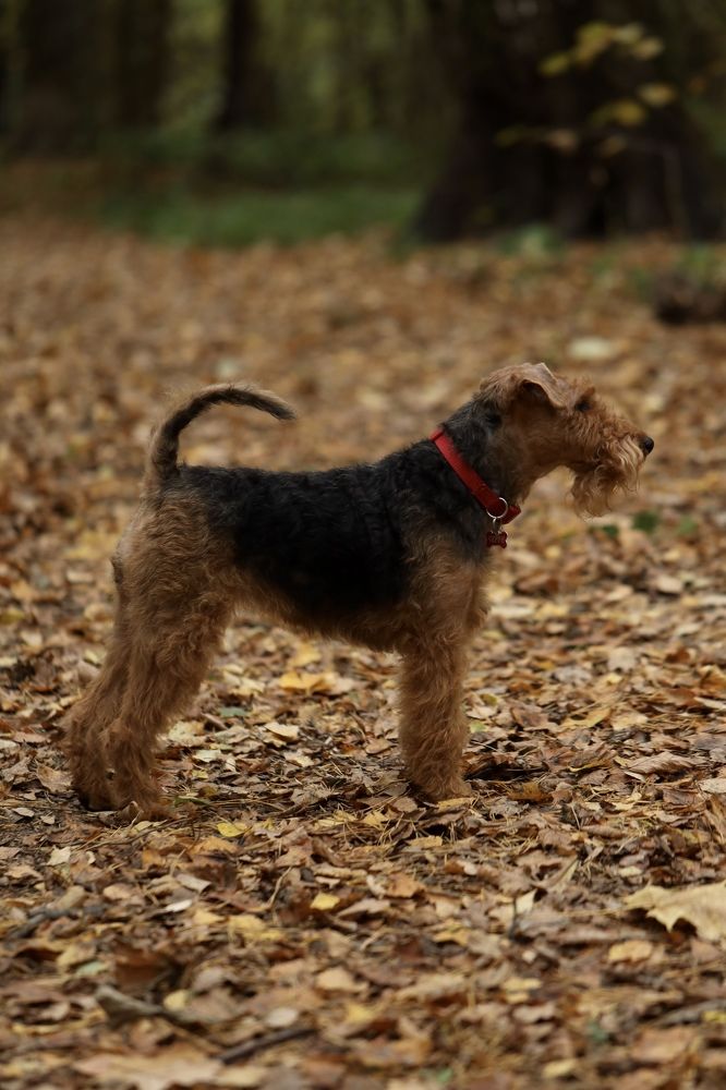 Photograph by Ирина Серегина