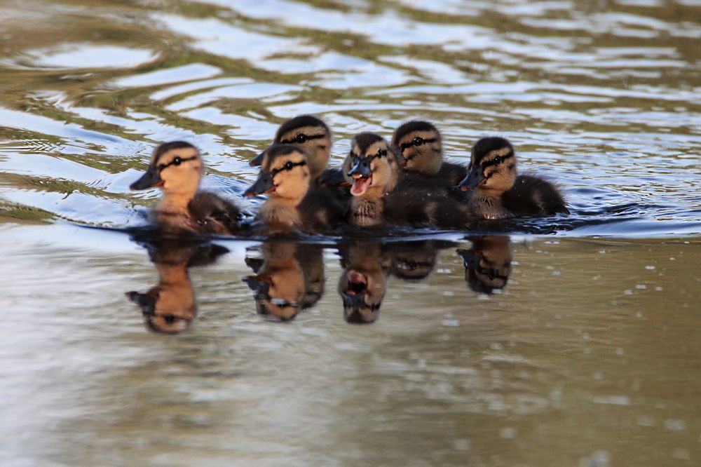 Photograph by Anna Suchcicka