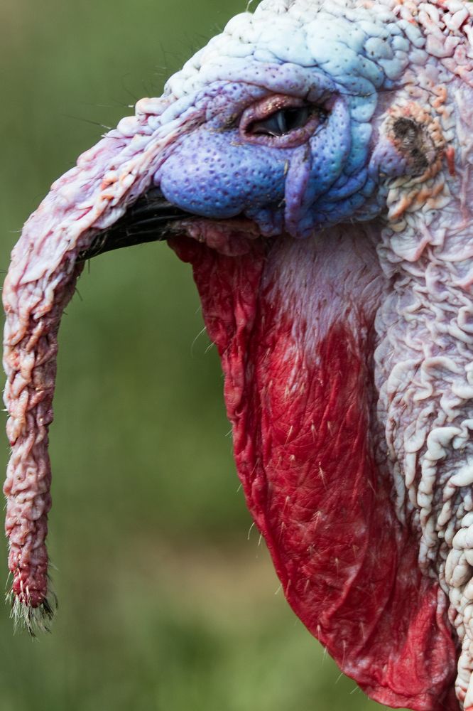 Photograph by Anna Suchcicka