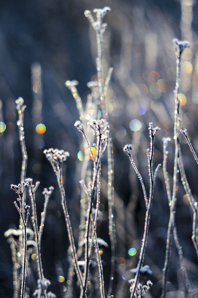 Photograph by Anna Suchcicka