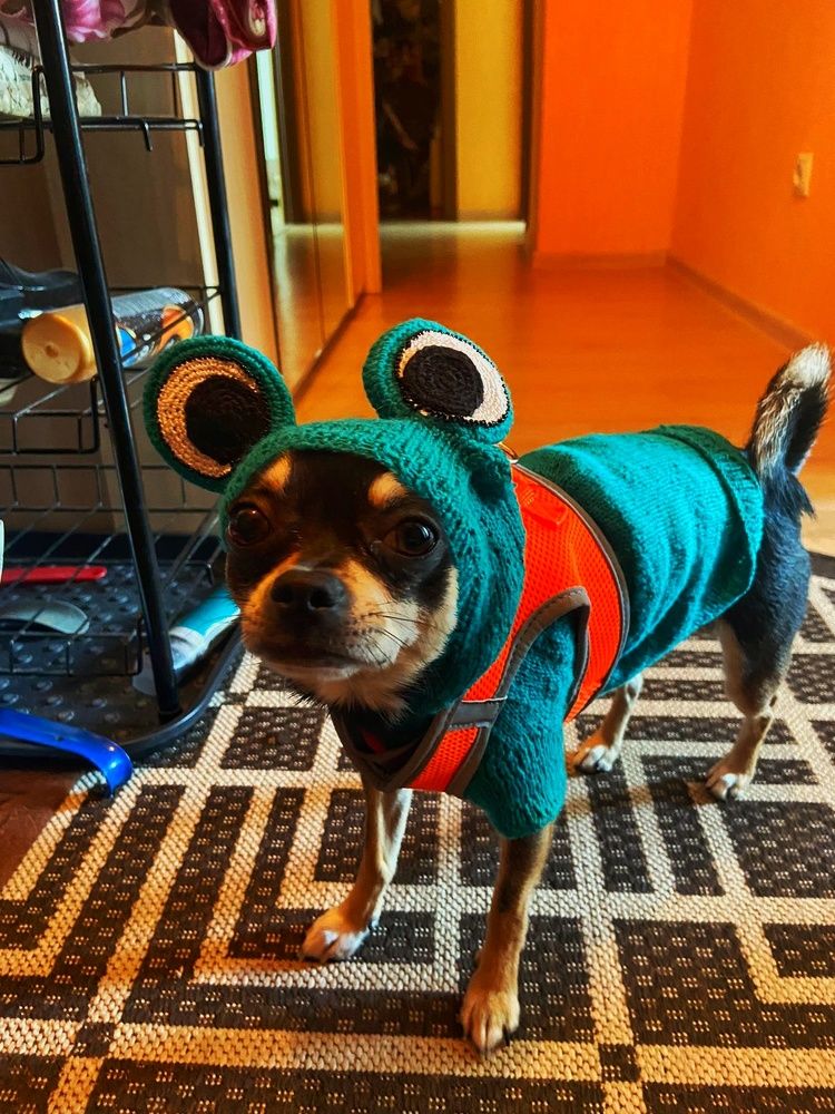 Photograph by Анастасия Липаткина