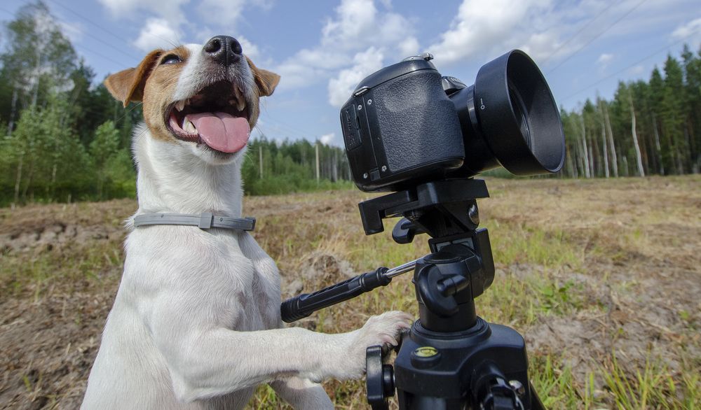 Photograph by Роман Кудрявцев