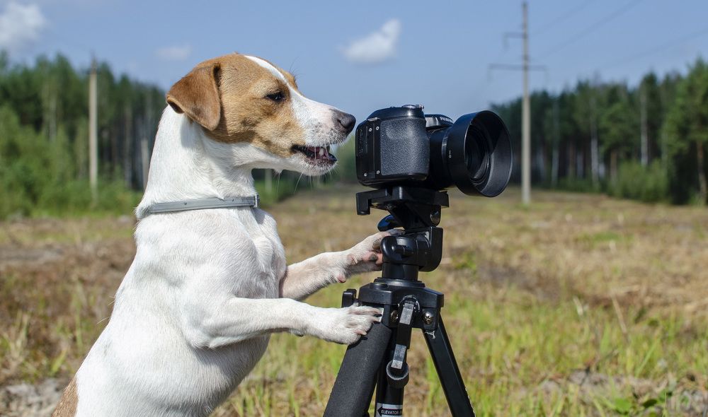 Photograph by Роман Кудрявцев