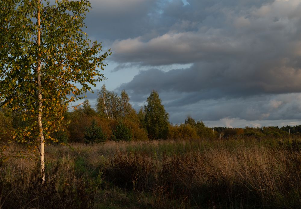 Photograph by Каролина