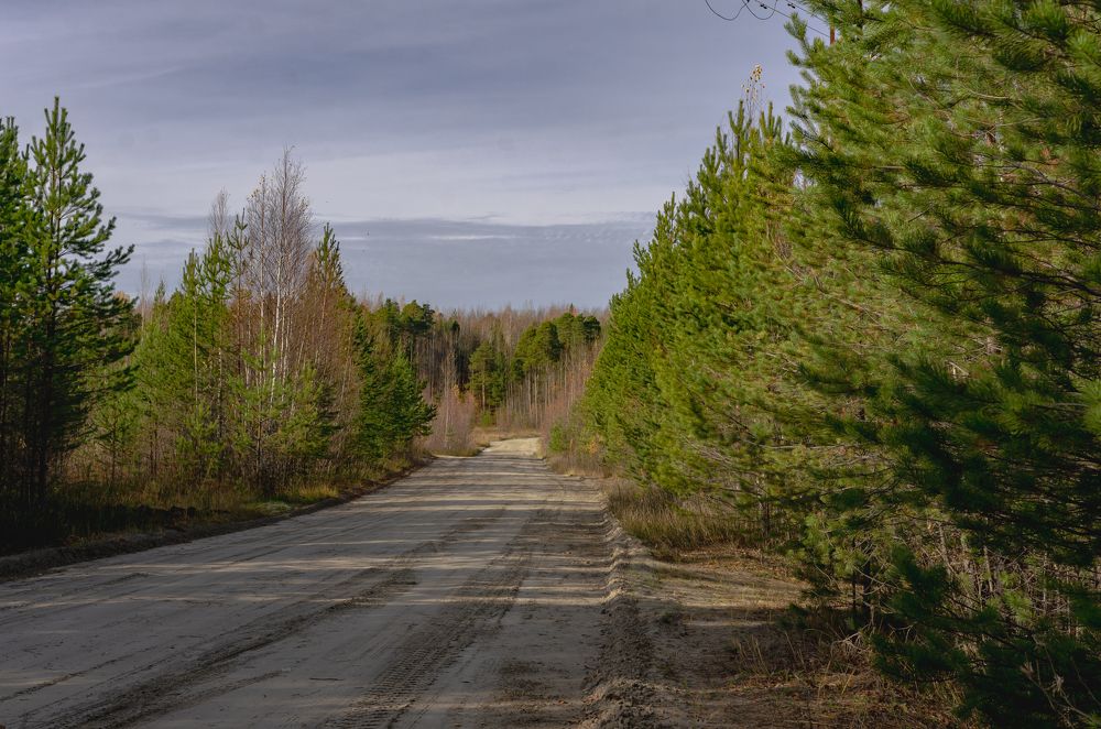 Photograph by Бадретдинов Виталий