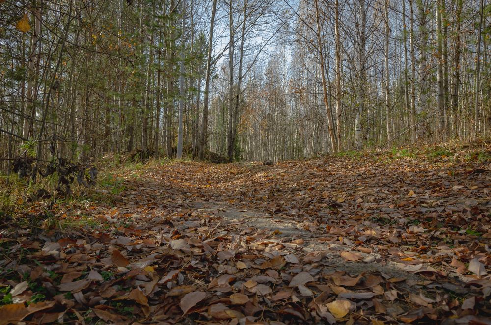 Photograph by Бадретдинов Виталий