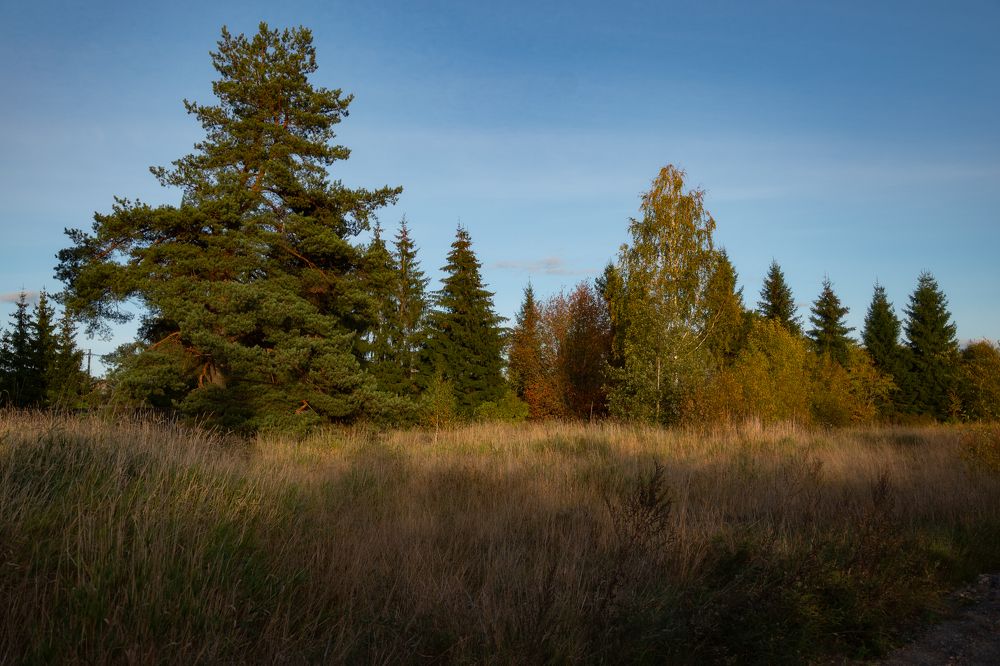 Photograph by Каролина
