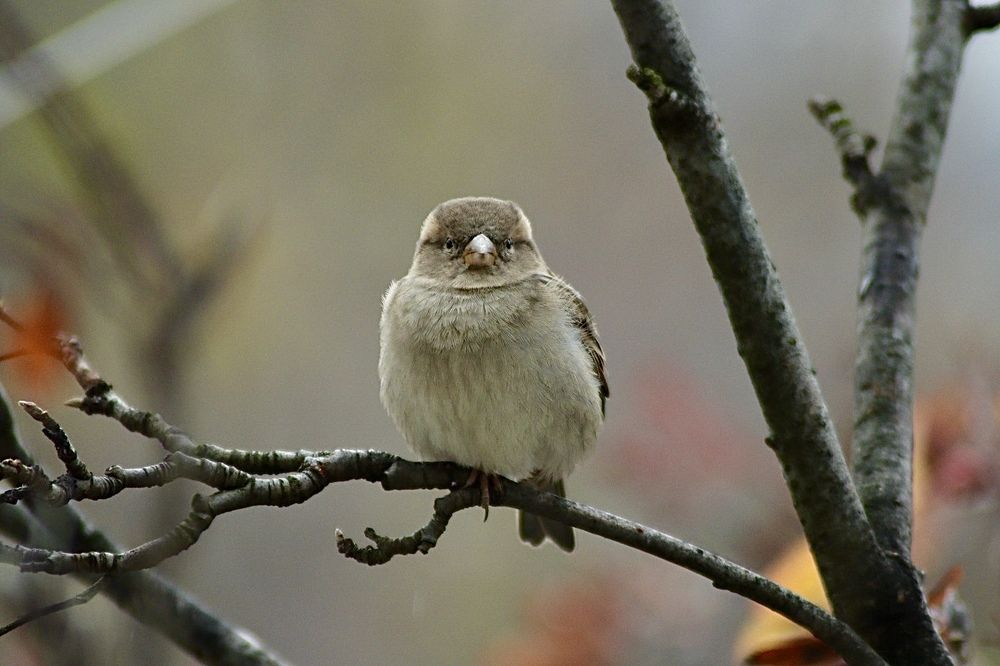 Photograph by Ekaterina Chernyshova