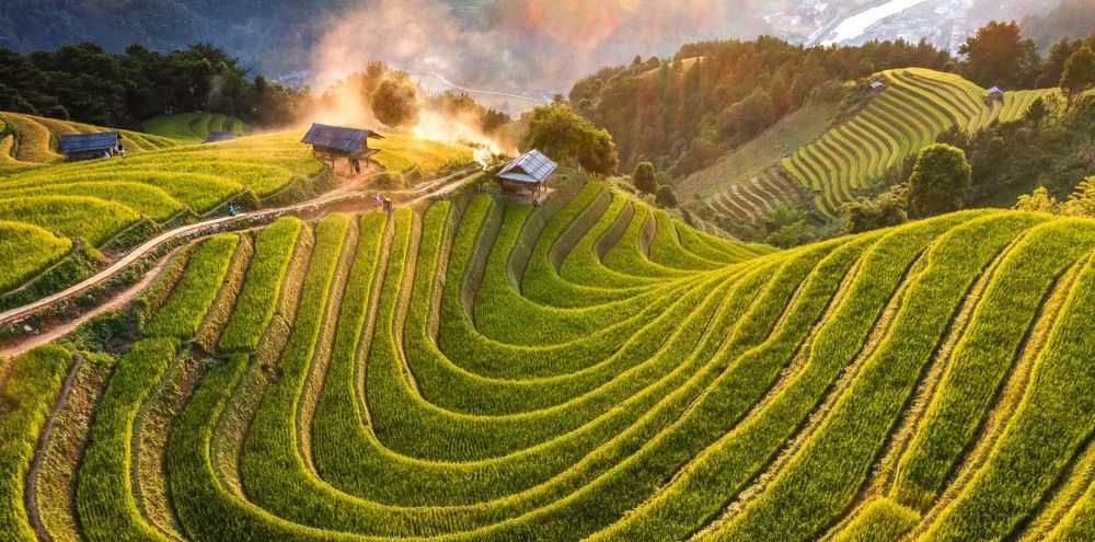 Photograph by Nguyen Thi Kim Thinh