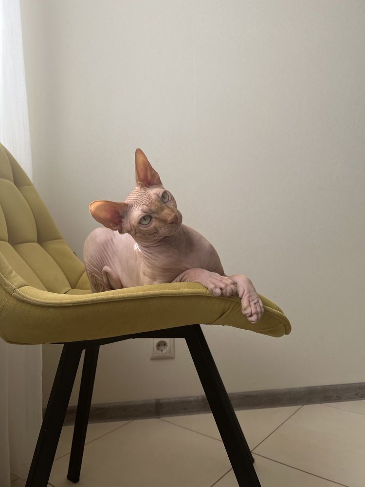 Photograph by Маринина Алёна