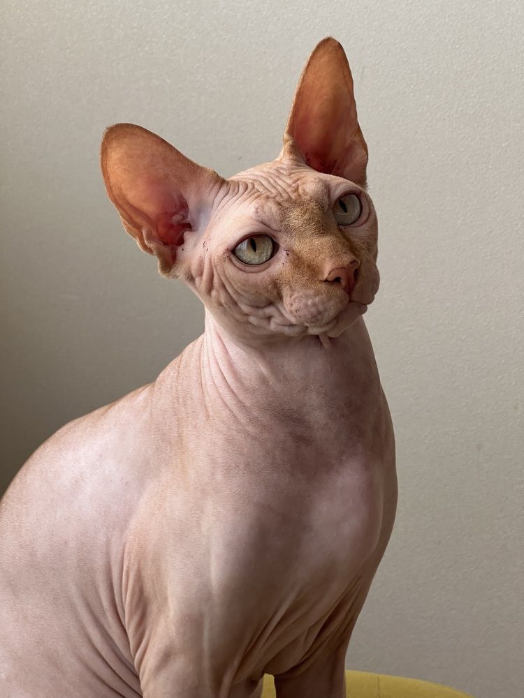 Photograph by Маринина Алёна