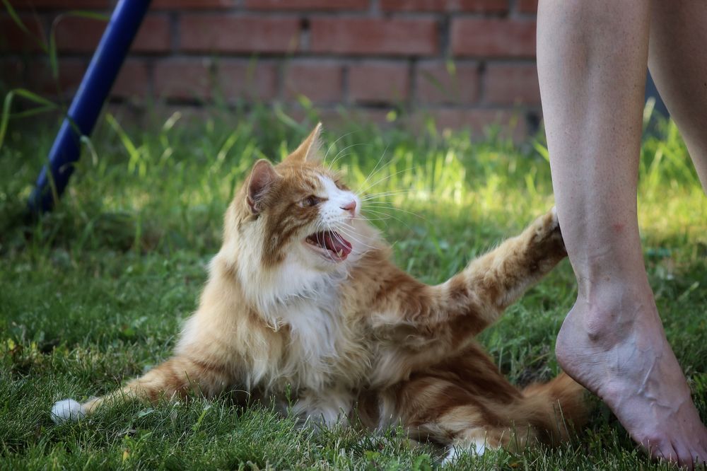 Photograph by Артемий