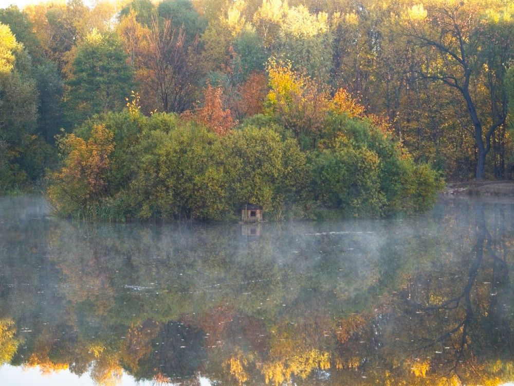 Photograph by Илюшечкина Екатерина