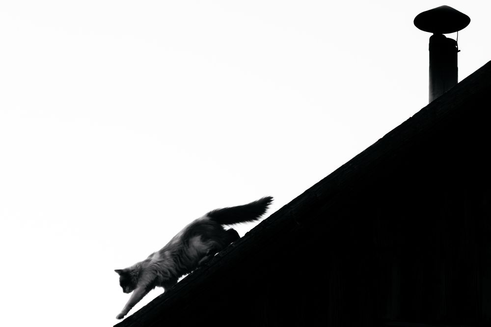 Photograph by Сергей