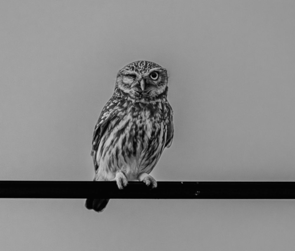 Photograph by George Alexandru Ghiuro