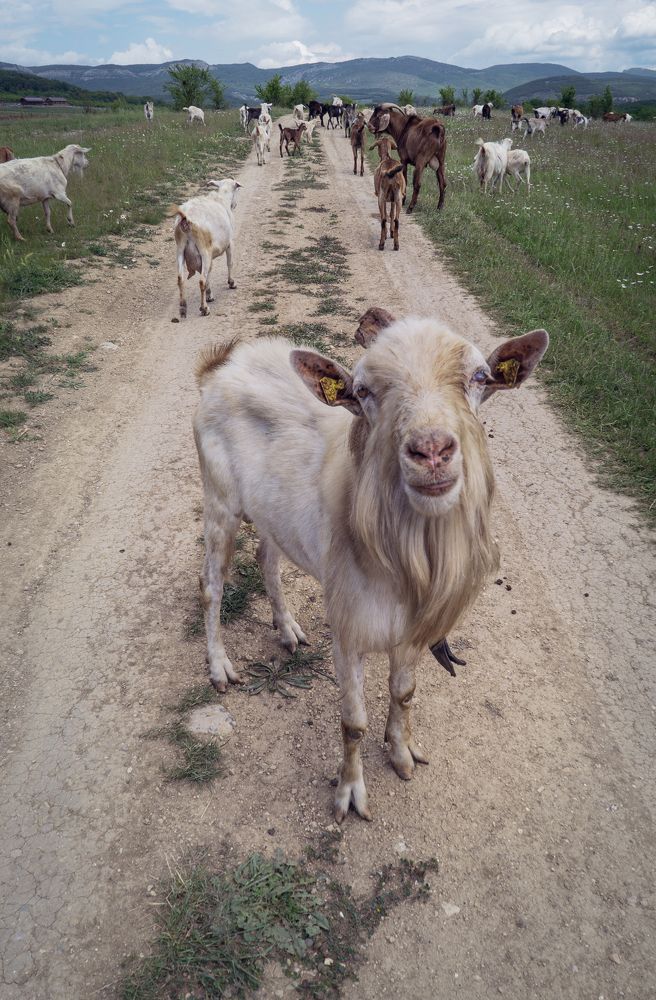 Photograph by Юрий Гаврилов