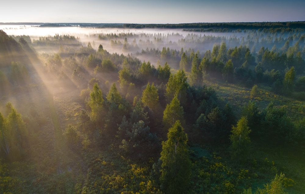 Photograph by Александр Чибиркин