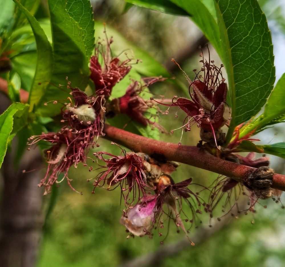 Photograph by Зимфира Хазиева