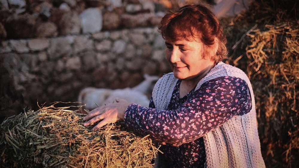 Photograph by Михаил