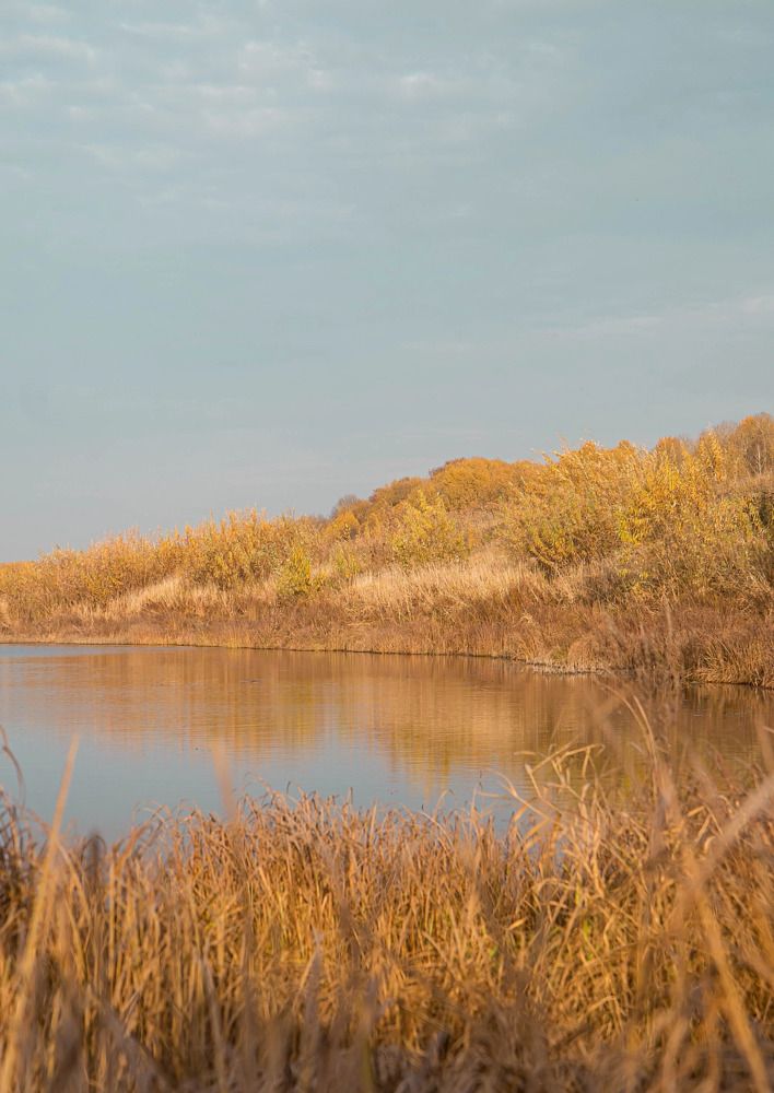 Photograph by Наталья Гашинская