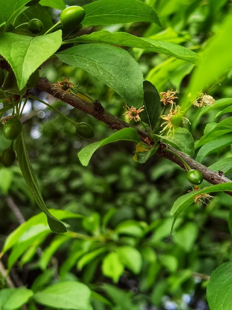 Photograph by Зимфира Хазиева