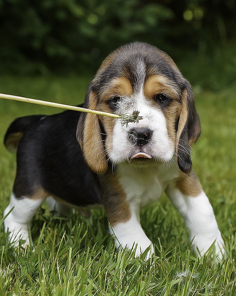 Photograph by Anna Sindikayeva