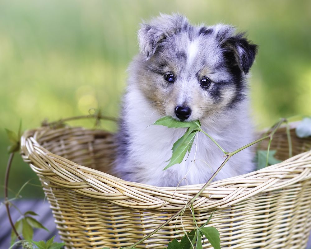 Photograph by Anna Sindikayeva