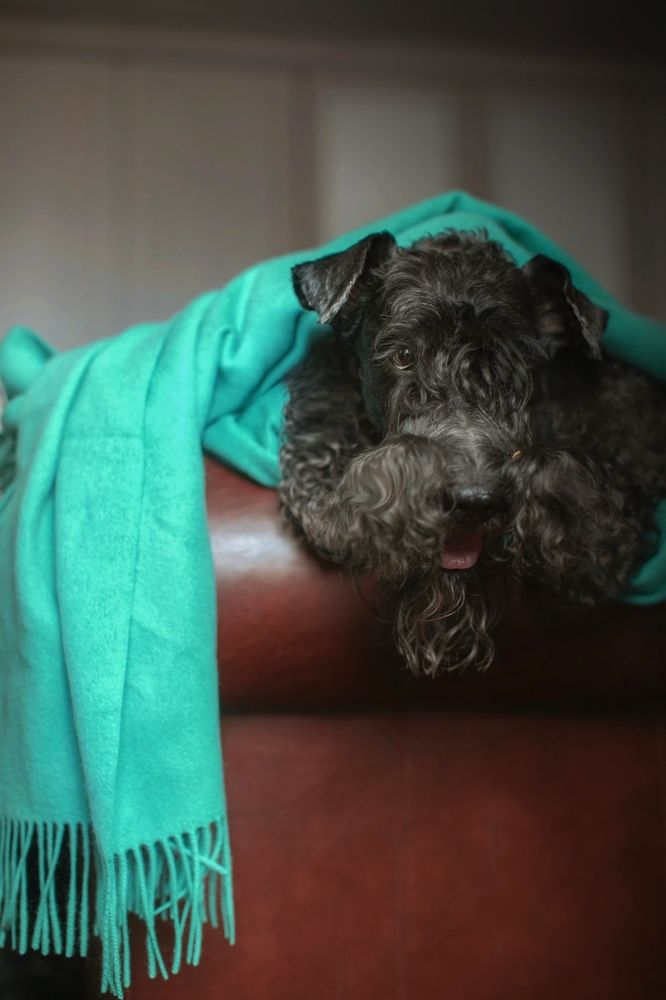 Осень-пора носить шарфики