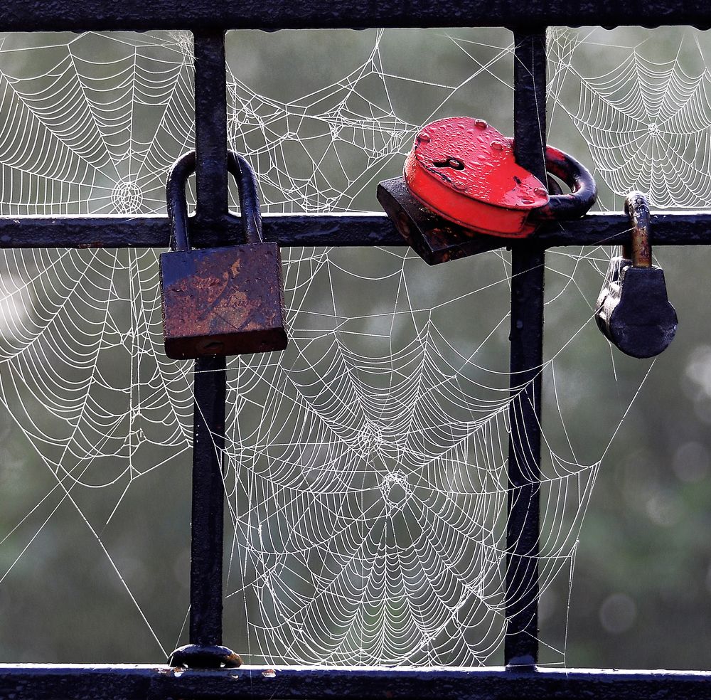 Photograph by Антип