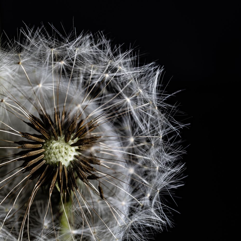 Photograph by Aleksandr Belov