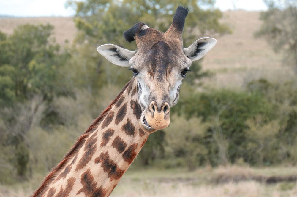 Photograph by Маркелов Андрей